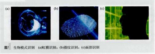 紅外探測器在生物識別技術(shù)的應(yīng)用